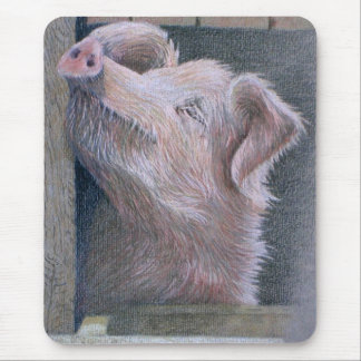 Sun Worship Mouse Mat