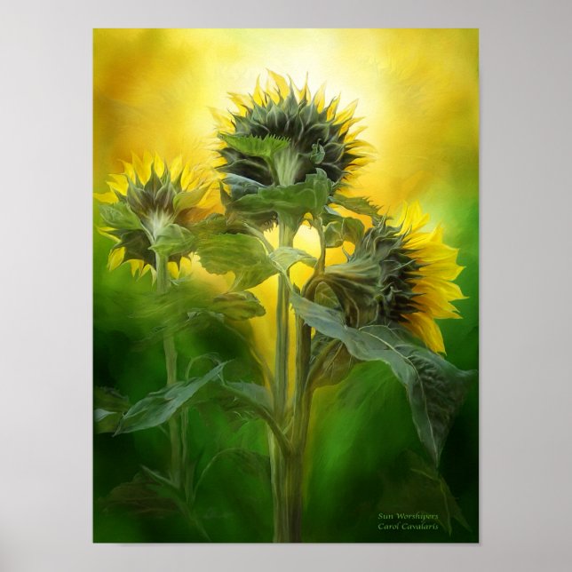 Sun Worshipers Art Poster/Print Poster (Front)