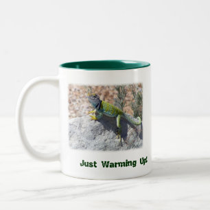 Sun Worshipping Colourful Collared Lizard Photo Two-Tone Coffee Mug