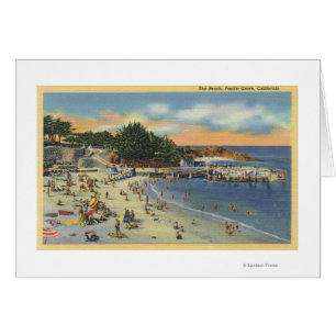 Sunbathers & Swimmers at the Beach