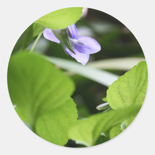 Sunbathing ? classic round sticker (Front)