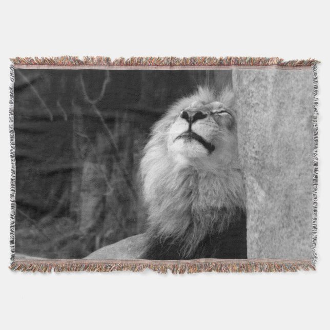 Sunbathing Lion Throw Blanket (Front)
