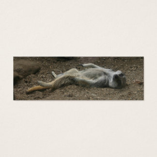 Sunbathing Meerkat Bookmark