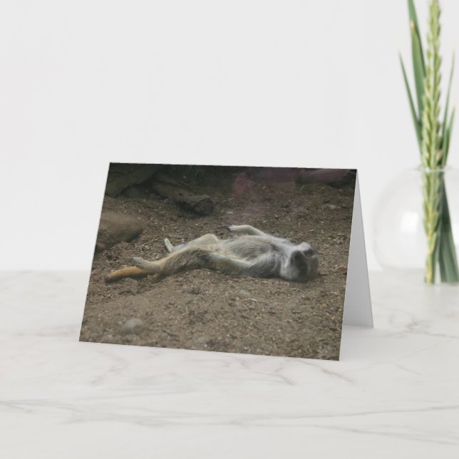 Sunbathing Meerkat Card (Front)