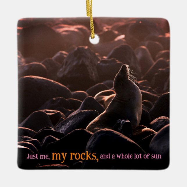 Sunbathing sea lion ceramic ornament (Front)