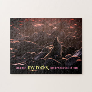 Sunbathing sea lion jigsaw puzzle