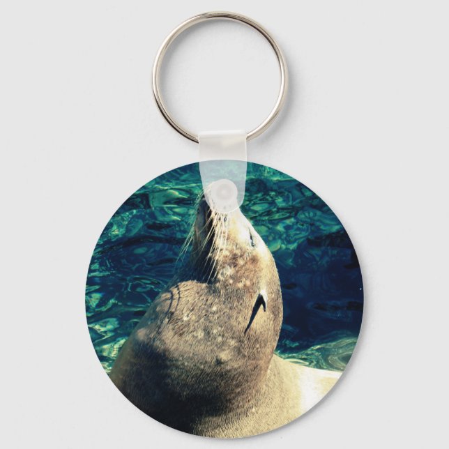Sunbathing Sea Lion Key Ring (Front)