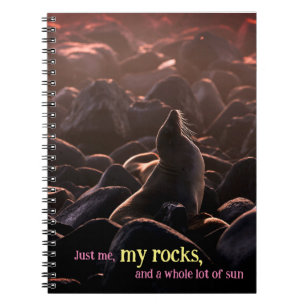 Sunbathing sea lion notebook