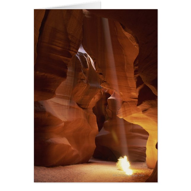 Sunbeam hitting tumbleweed on canyon floor (Front)