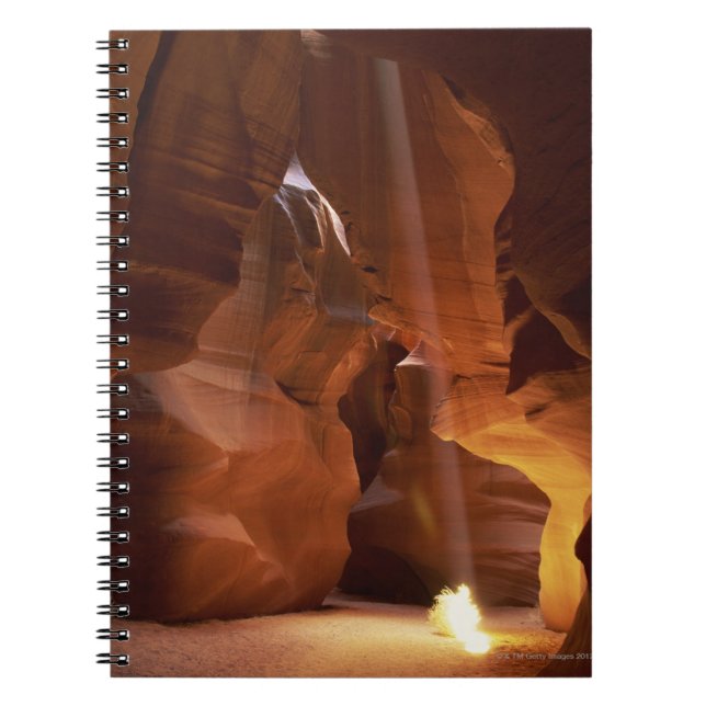 Sunbeam hitting tumbleweed on canyon floor notebook (Front)