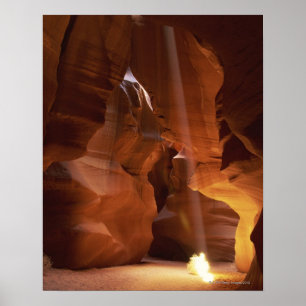 Sunbeam hitting tumbleweed on canyon floor poster