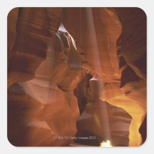 Sunbeam hitting tumbleweed on canyon floor square sticker