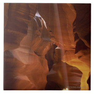 Sunbeam hitting tumbleweed on canyon floor tile