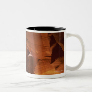 Sunbeam hitting tumbleweed on canyon floor Two-Tone coffee mug