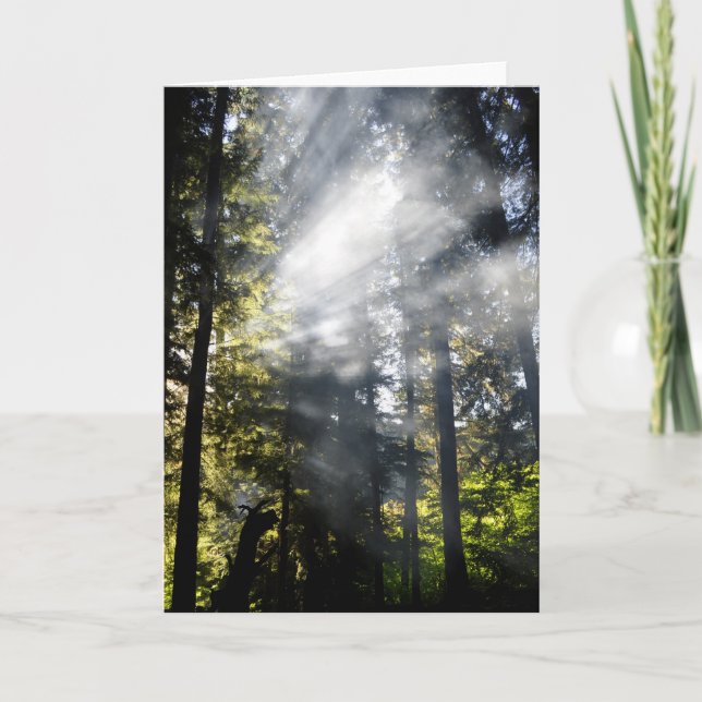 Sunbeams Card (Front)