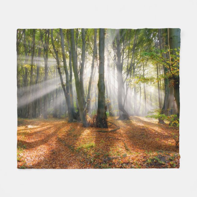 Sunbeams in a misty beech tree forest in autumn - fleece blanket (Front (Horizontal))