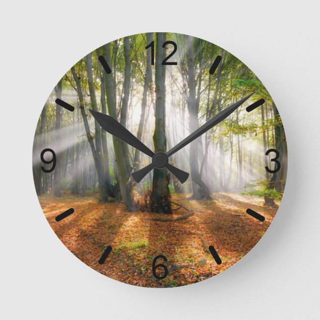 Sunbeams in a misty beech tree forest in autumn - round clock (Front)