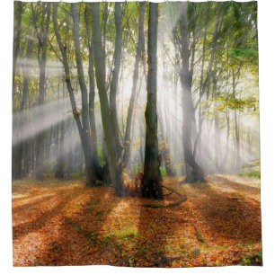 Sunbeams in a misty beech tree forest in autumn - shower curtain