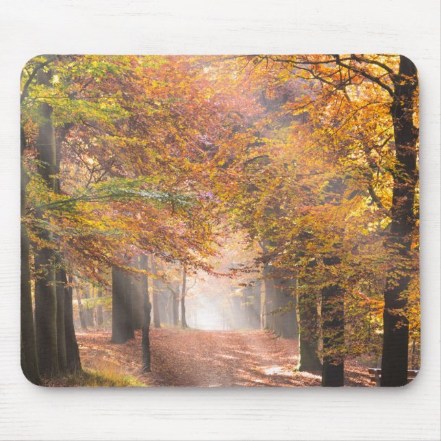 Sunbeams in an autumn forest mousepad (Front)