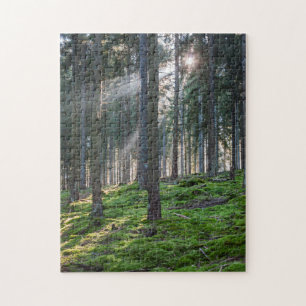 Sunbeams in the Black Forest Jigsaw Puzzle