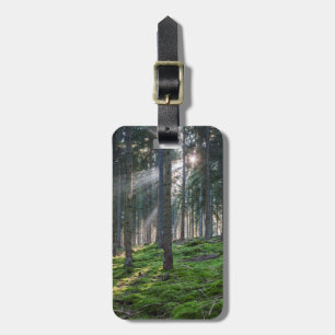 Sunbeams in the Black Forest Luggage Tag