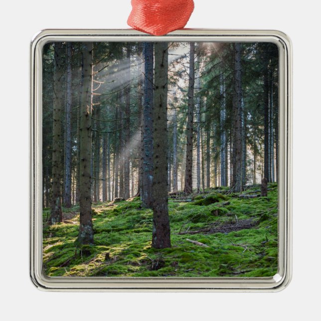 Sunbeams in the Black Forest Metal Tree Decoration (Front)