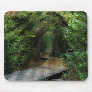 Sunbeams in Woods Mouse Mat