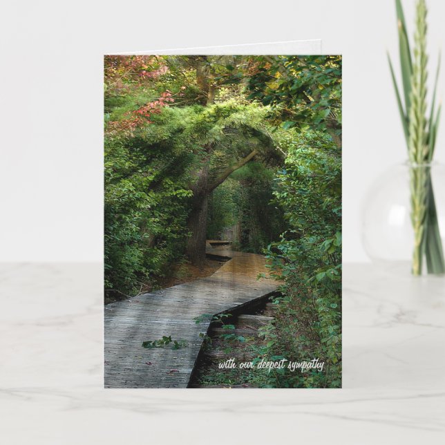 Sunbeams in Woods Sympathy Card (Front)