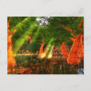 Sunbeams of Harmony Poetry Postcard
