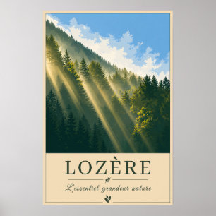 Sunbeams Through the Mountain Forest Poster