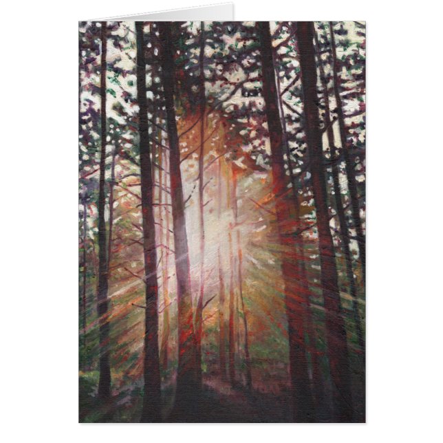 Sunburst 2010 (Front)