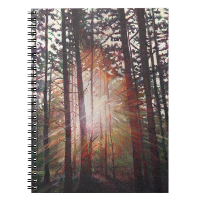 Sunburst 2010 notebook (Front)