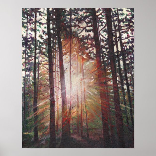 Sunburst 2010 poster (Front)