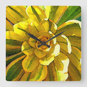 Sunburst Aeonium Succulent Square by Amy Vangsgard Wall Clock