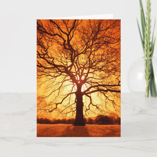 Sunburst Card (Front)