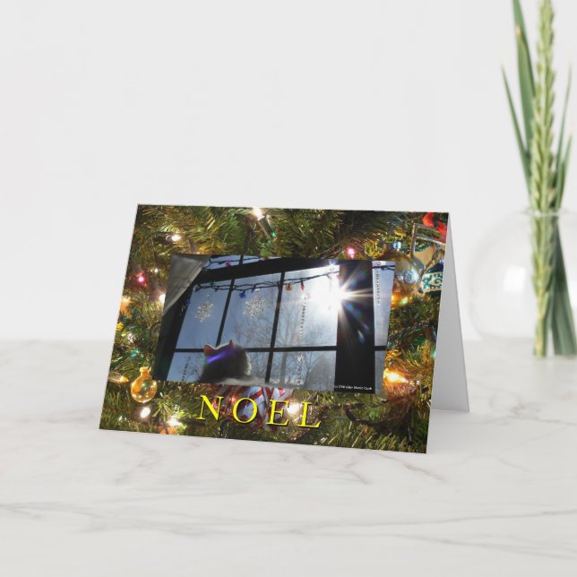 Sunburst Cat 2/ Noel Holiday Card (Front)