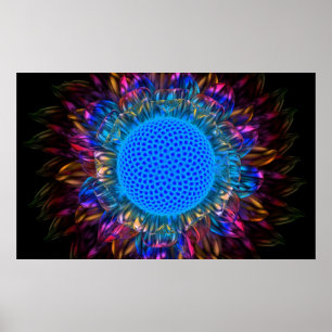 Sunburst Daisy (Inverted) Poster