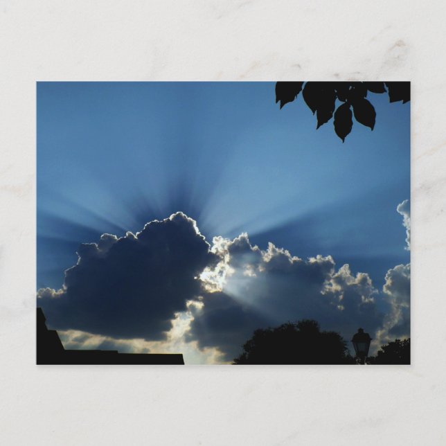 Sunburst Postcard (Front)