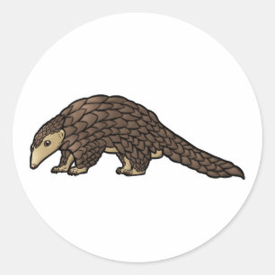 Sunda Pangolin Classic Round Sticker