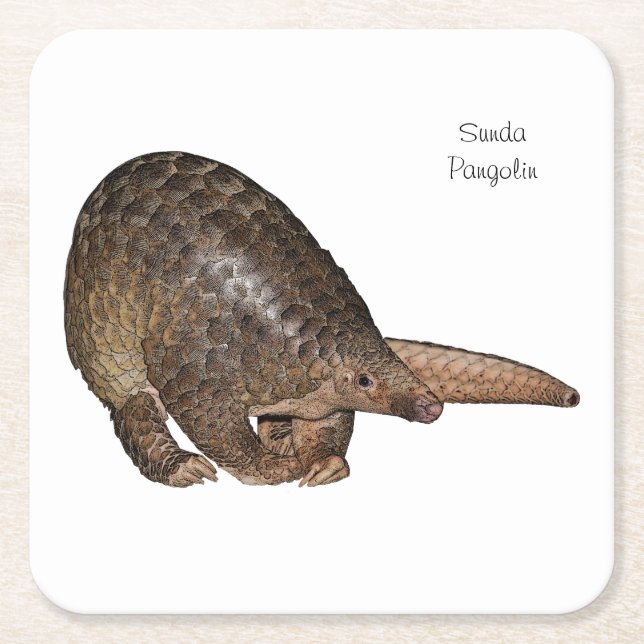 Sunda Pangolin Coasters (Front)