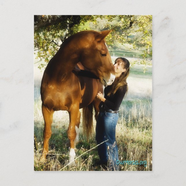 Sundance Stormy postcard (Front)