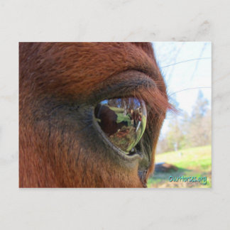 Sundance world postcard