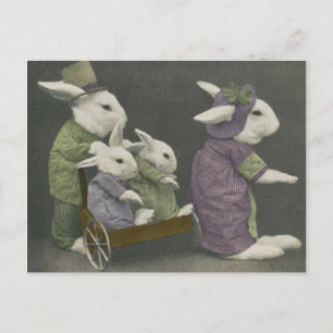 Sunday Bunnies Postcard