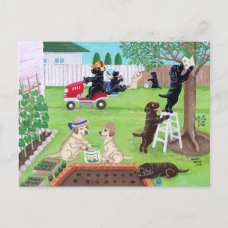 Sunday Fun Labradors Painting Postcard