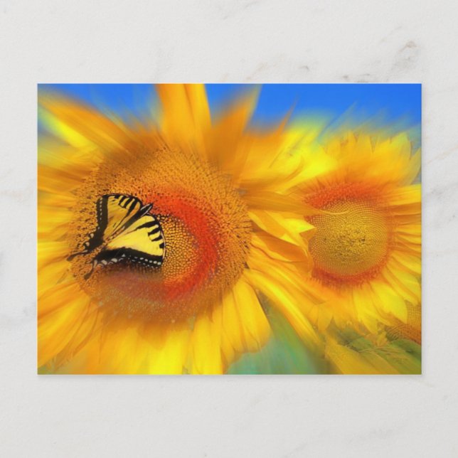 Sunday morning postcard (Front)