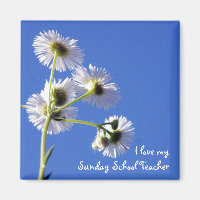 Sunday School Teacher Magnet