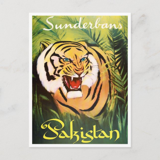 Sunderban National Park Pakistan vintage travel Postcard (Front)