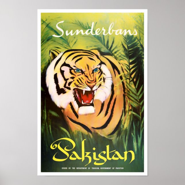 Sunderban National Park Pakistan vintage travel Poster (Front)