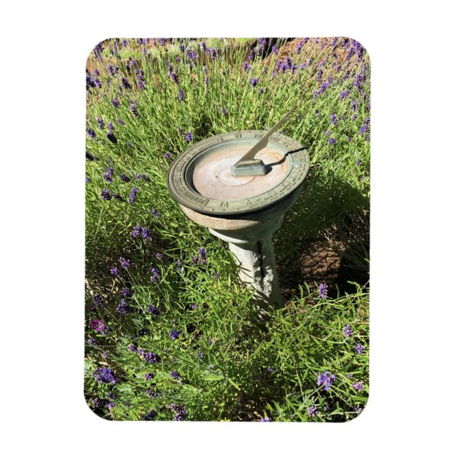Sundial in Lavender Magnet (Vertical)