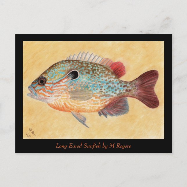 Sunfish Art Card (Front)